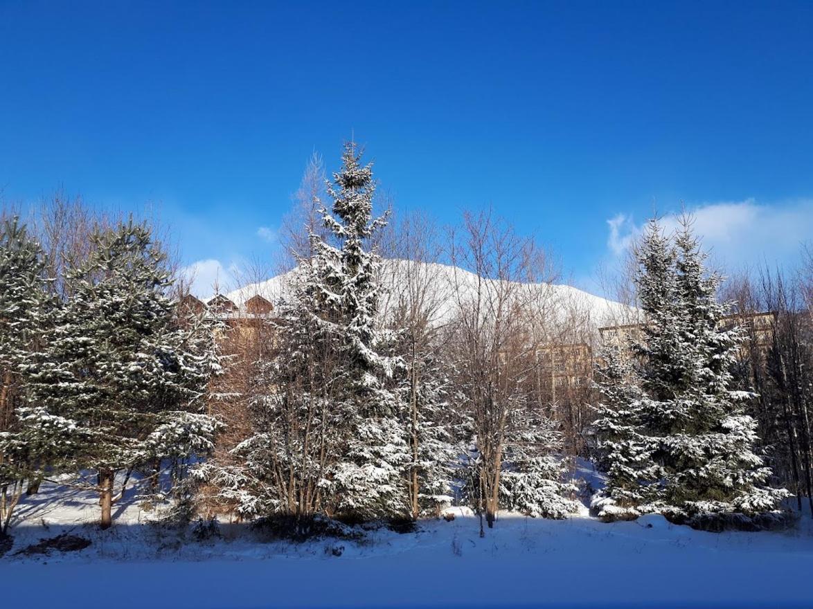 Apartman Mariana Vysoke Tatry Bagian luar foto
