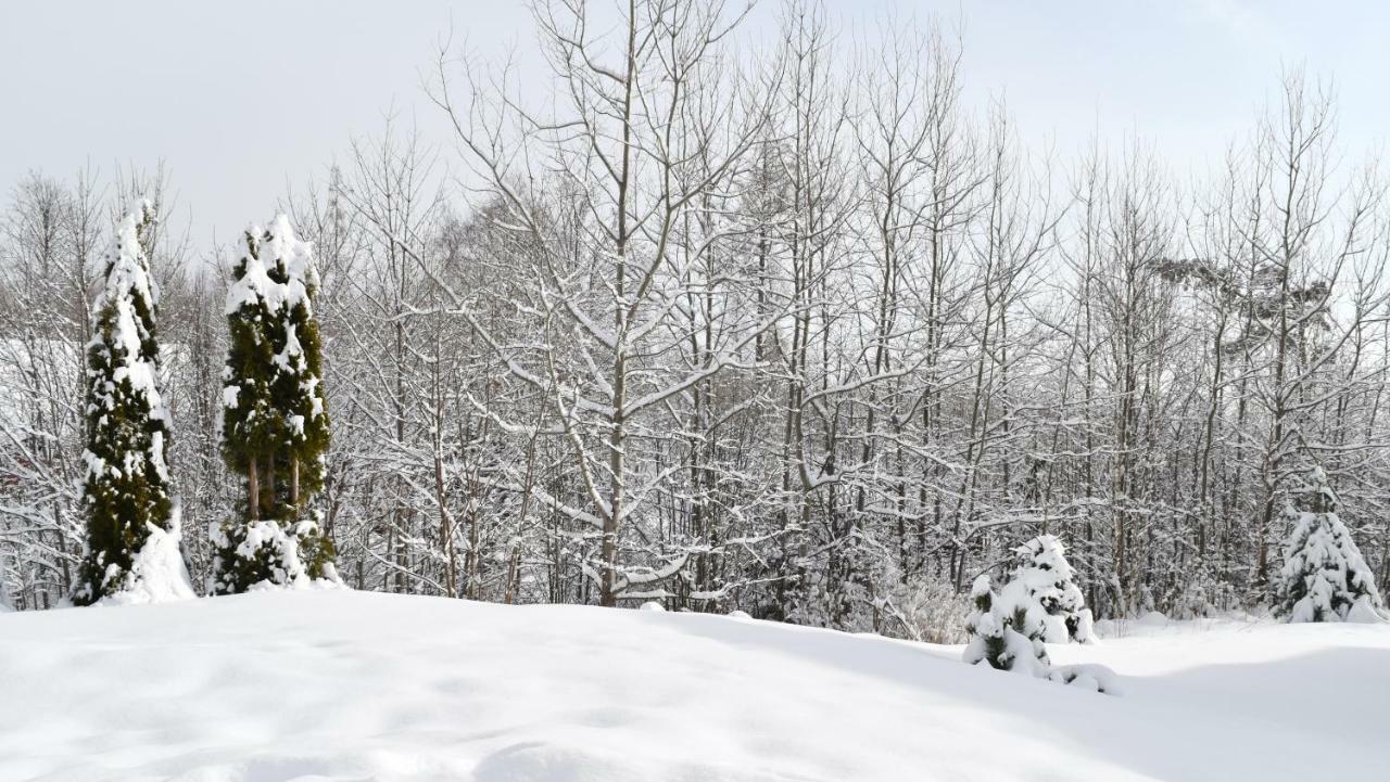Apartman Mariana Vysoke Tatry Bagian luar foto