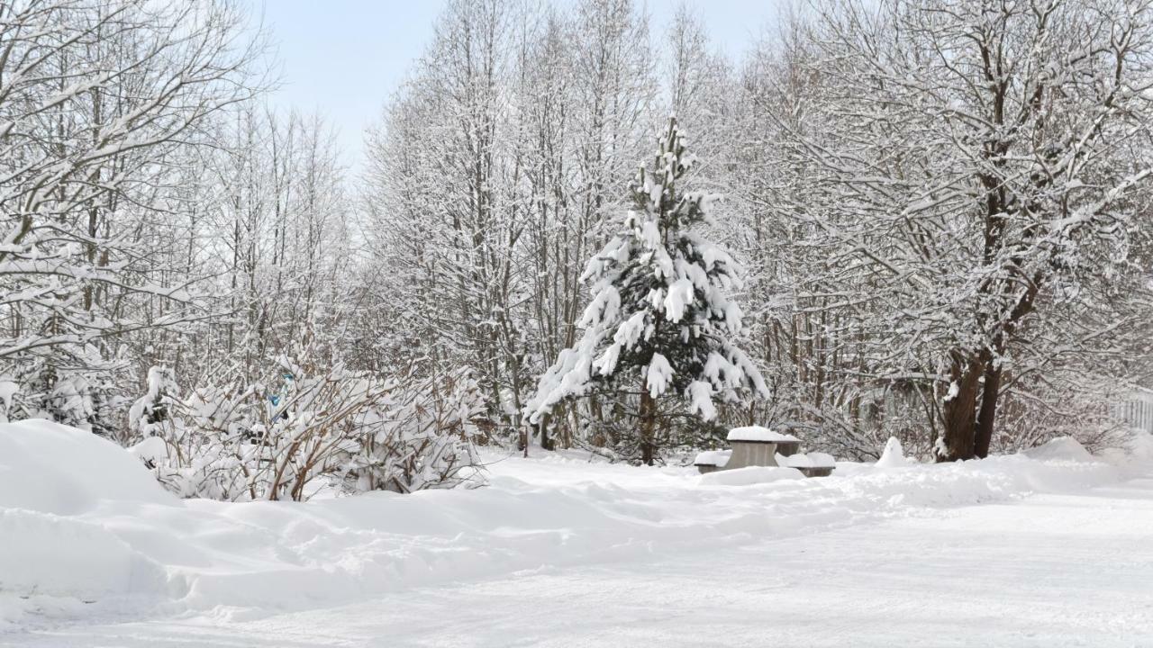 Apartman Mariana Vysoke Tatry Bagian luar foto